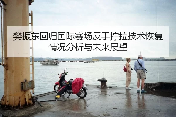 樊振东回归国际赛场反手拧拉技术恢复情况分析与未来展望