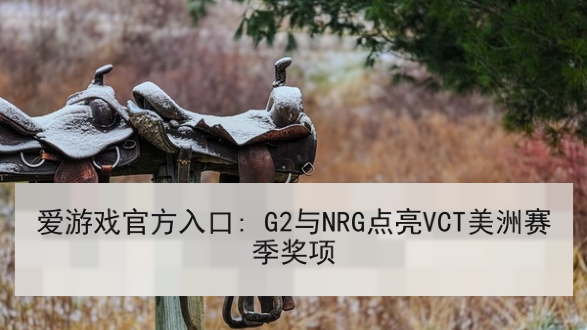 爱游戏官方入口: G2与NRG点亮VCT美洲赛季奖项