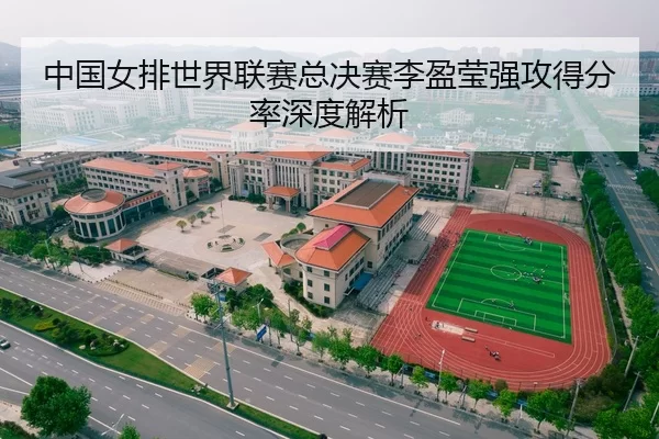 中国女排世界联赛总决赛李盈莹强攻得分率深度解析